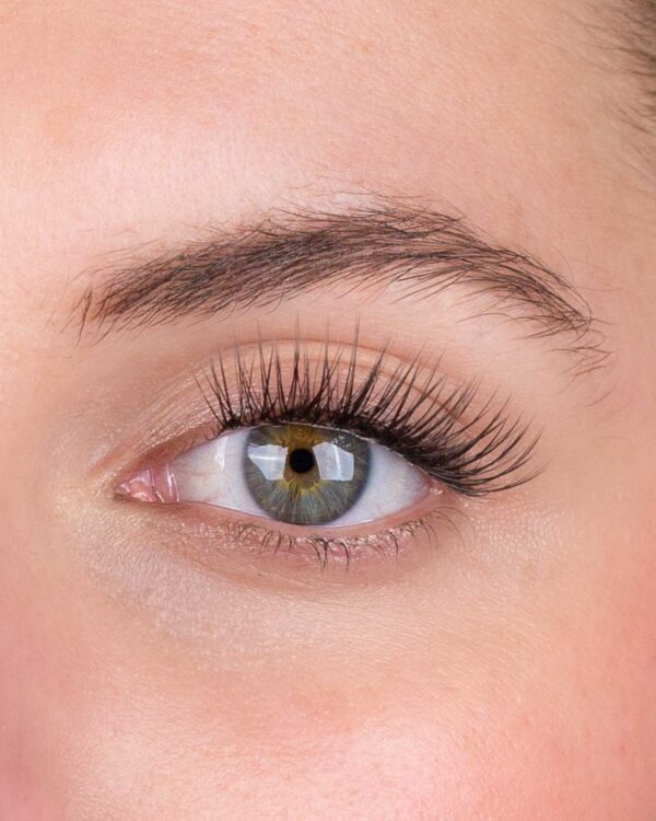 Classic - Afbeelding 2