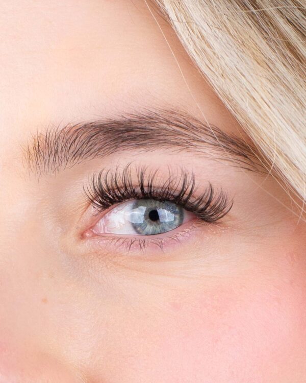 Queen - Afbeelding 2