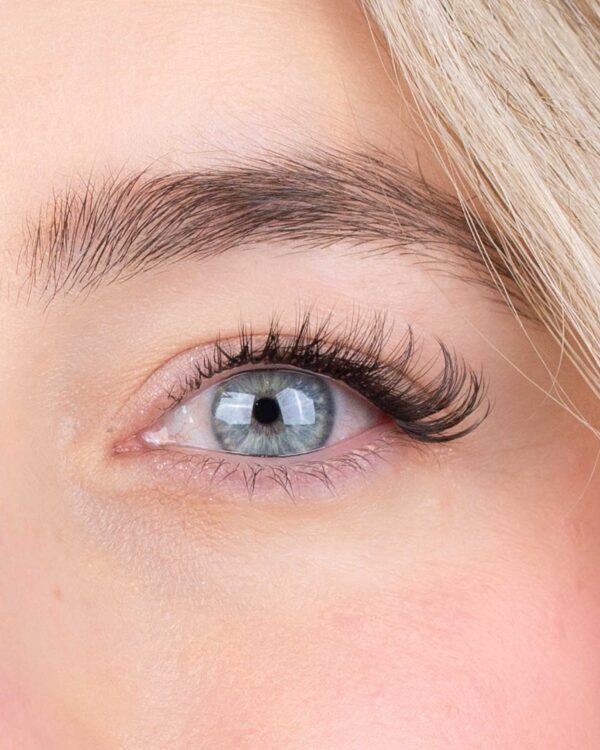 Bella - Afbeelding 2